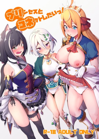 (C96) [Ikihaji Hummingbird (Amano Don)] Princess to Connect Shitai! (Princess Connect! Re:Dive) [Russian] [Фидерок] cover