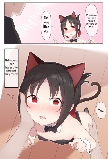 [Alapi] Nekomimi no Kaguya-sama (Kaguya-sama wa Kokurasetai) [English] cover