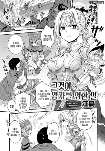 [Etori] Sore ga Ouji no Tame ni | 그것이 왕자를 위한 일 (COMIC Anthurium 2020-09) [Korean] [그림판전사] [Digital] cover
