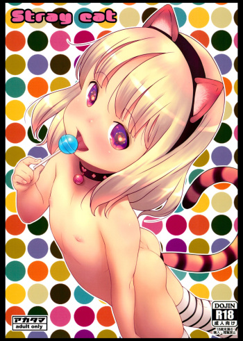 (C96) [Akatama (Sakurafubuki Nel)] Stray cat [English] cover