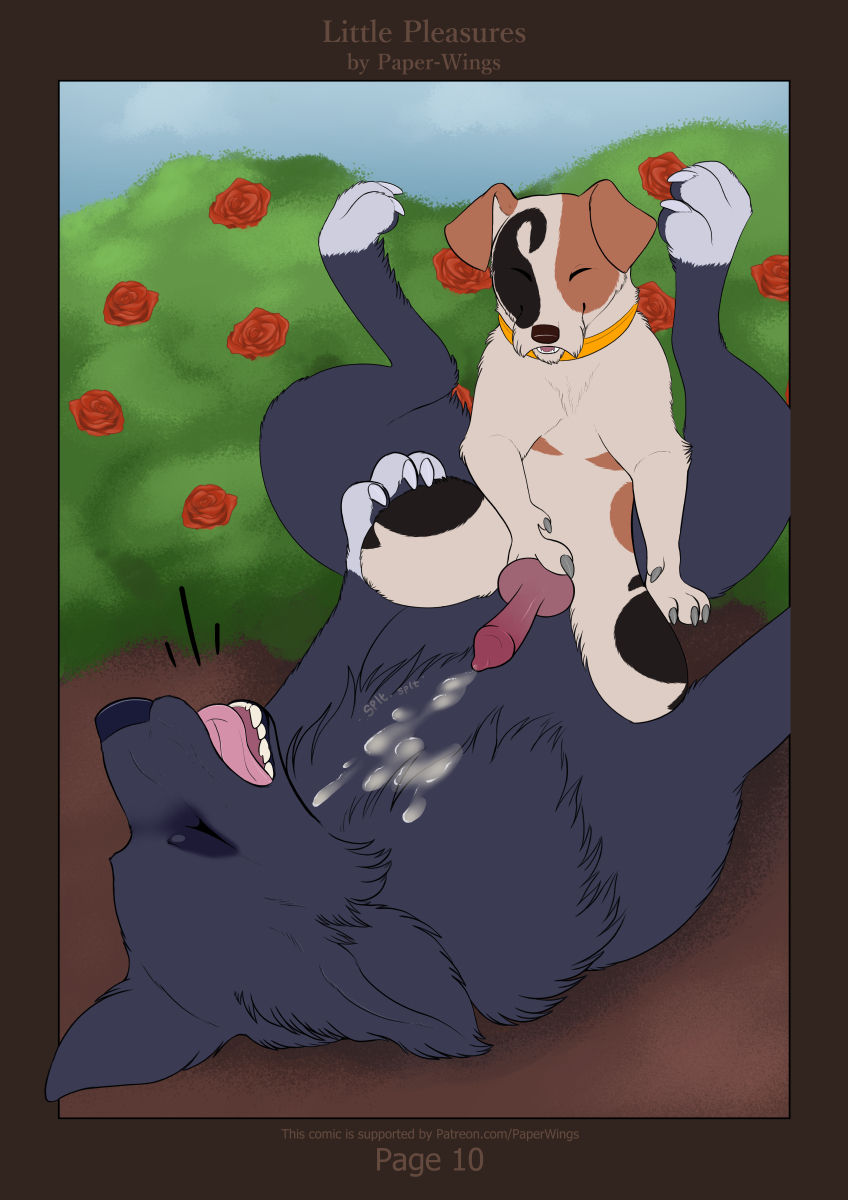 Little Pleasures page 11 full