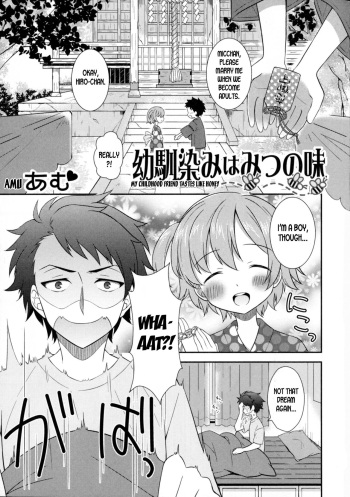 [Amu] Osananajimi wa Mitsu no Aji | My Childhood Friend Tastes Like Honey (Nyotaika Dynamites! 6) [English] [desudesu] cover