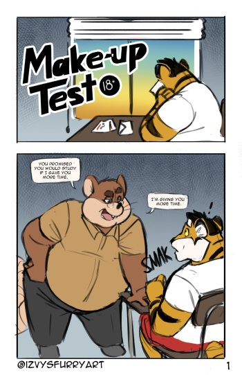 Make-up Test cover