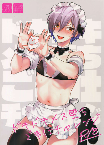 (C96) [Ash wing (Makuro)] Dokidoki Mesu Ochi Gohoushi Challenge [English] [mysterymeat3] cover