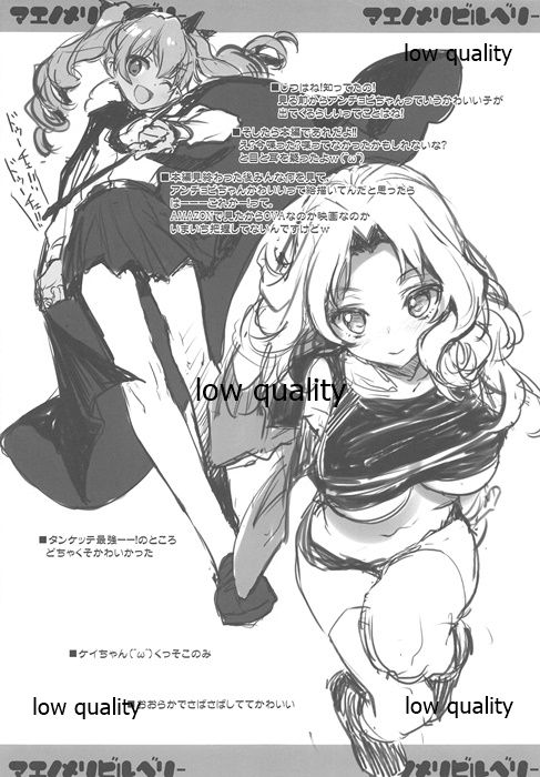 Maenomeri Bilberry page 12 full