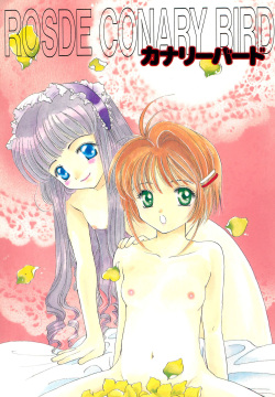 ROSDE CONARY BIRD -Canary Bird-