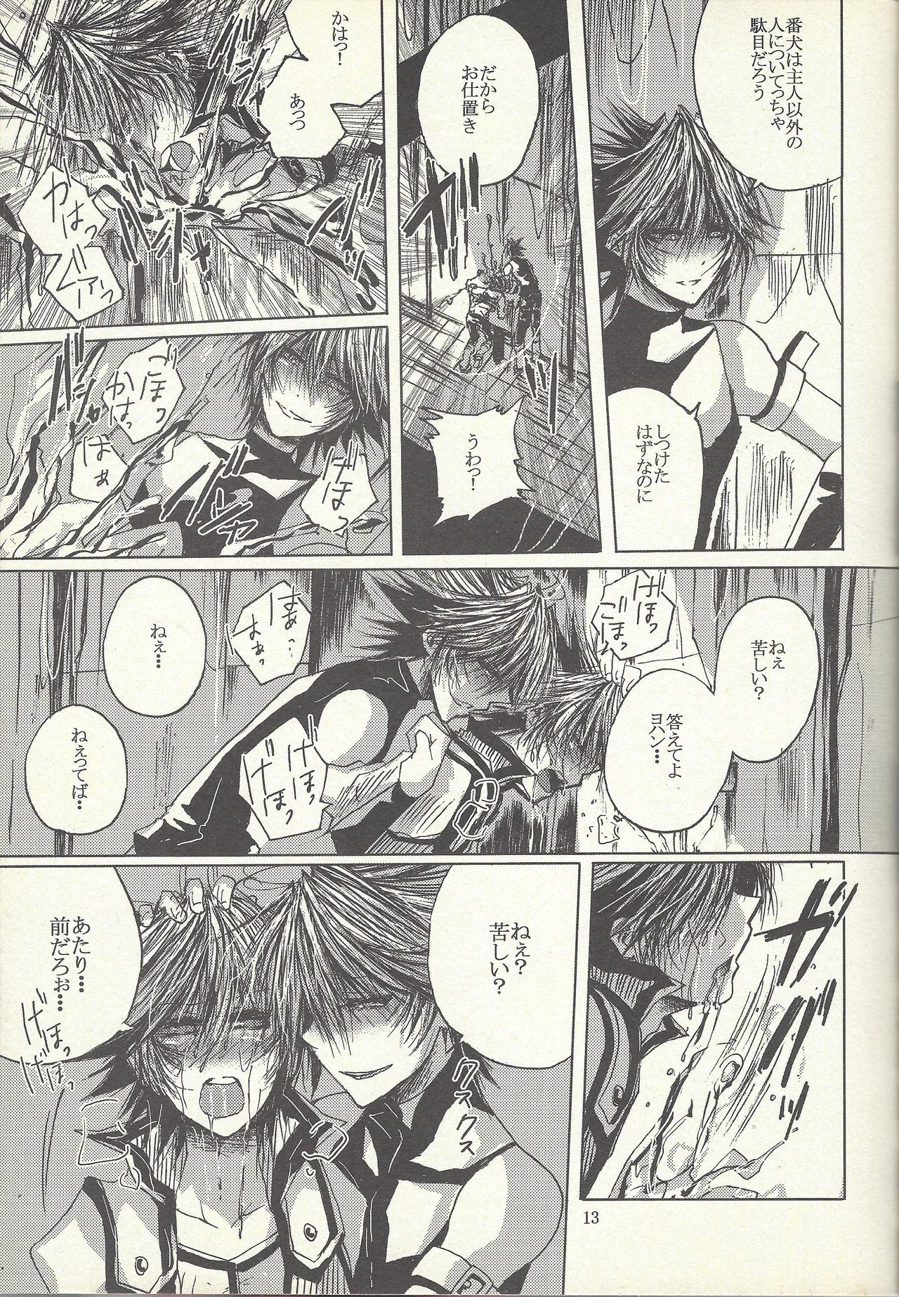 Dis page 12 full