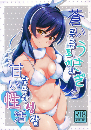 (C97) [iTsukano Cabayaki (Cabayaki)] Aoi Usagi to Amai Seikatsu | 푸른 토끼와 달콤한 성활 (Love Live!) [Korean] cover
