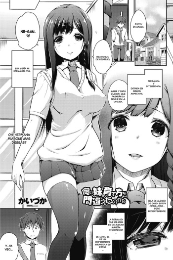 [Kaiduka] Ore wa Imouto no Sodatekata o Machigaeta Kamo (COMIC Penguin Celeb 2017-07) [Spanish] {MetamorfosiS} cover