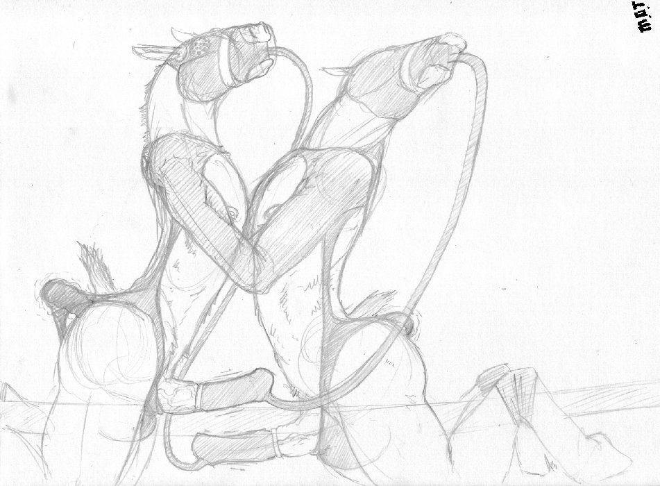 furry.booru.org siterip 44,000~45,999 page 9 full