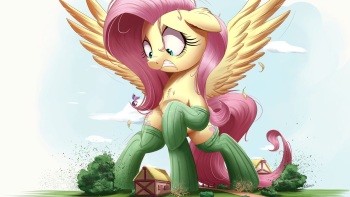 ARTIST ncmares cover