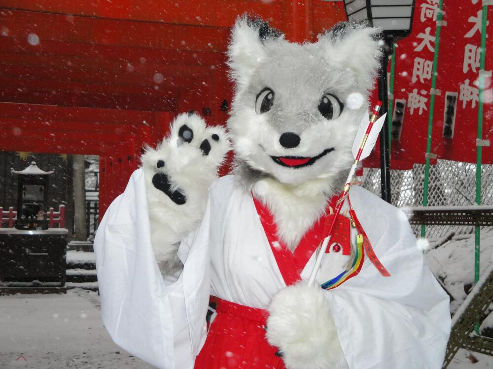furry.booru.org siterip 80,000~81,999 page 11 full