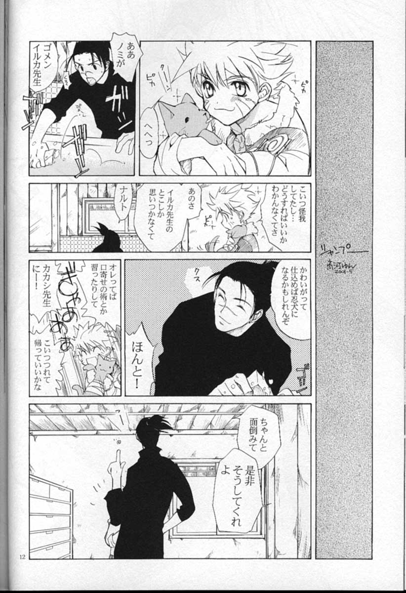 Shampoo page 11 full