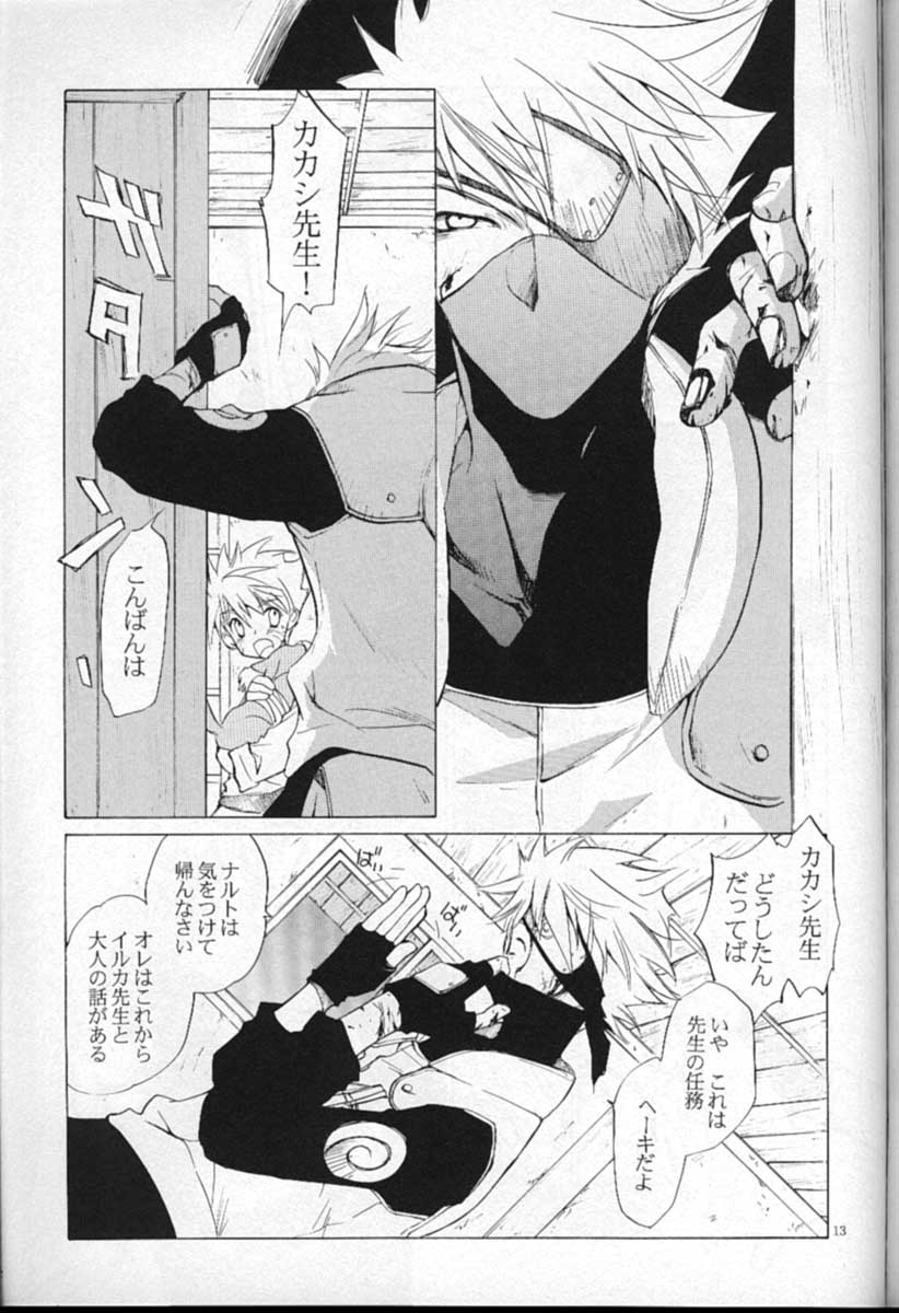Shampoo page 12 full