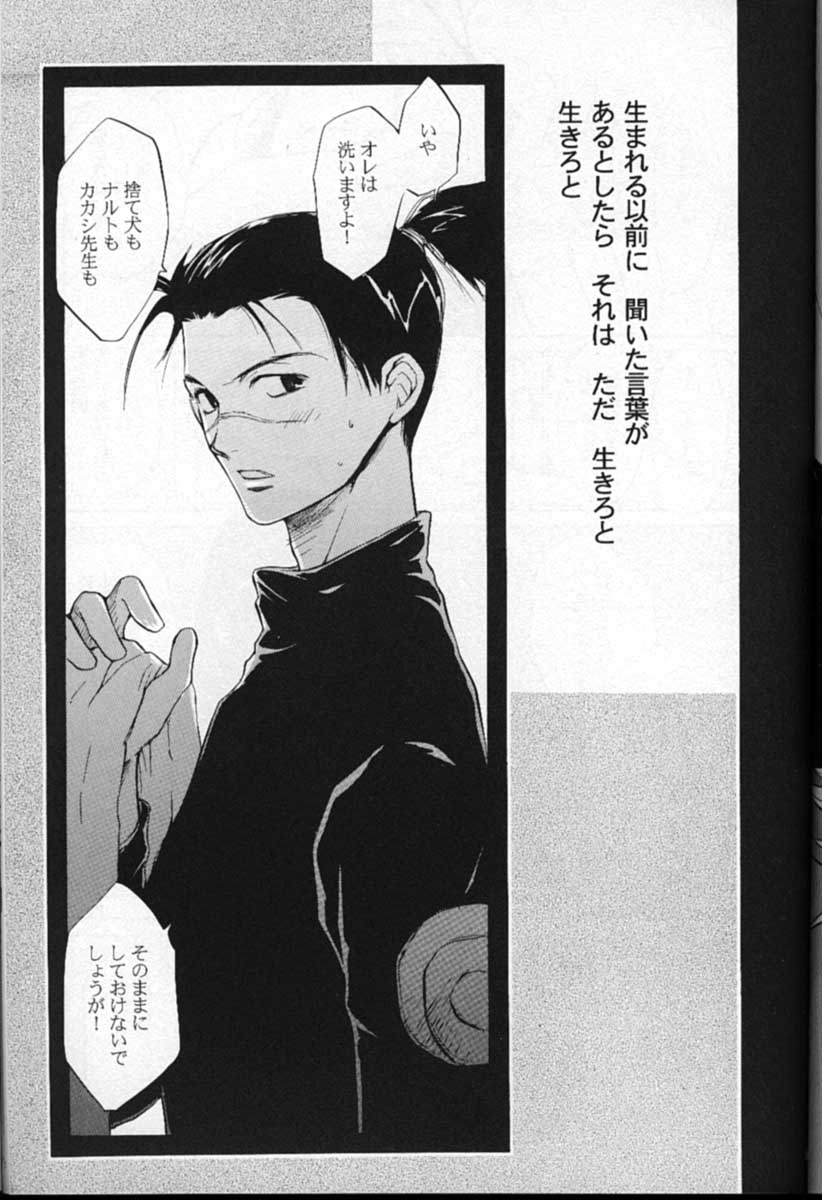 Shampoo page 4 full
