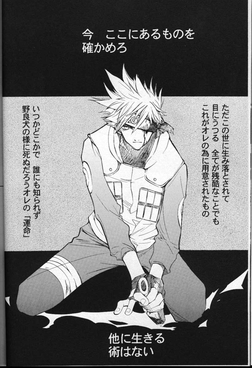 Shampoo page 7 full