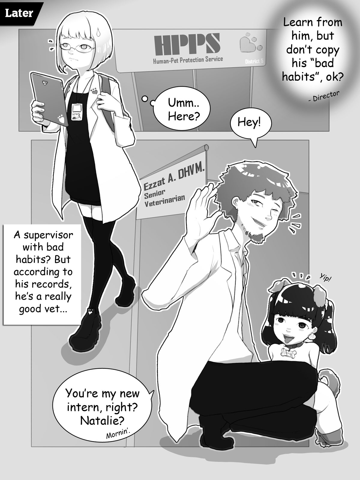 nimbletail compet healers page 12 full