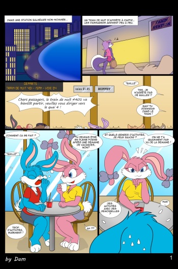 [Dam] Toons on a Train (Tiny Toon Adventures) [French] cover