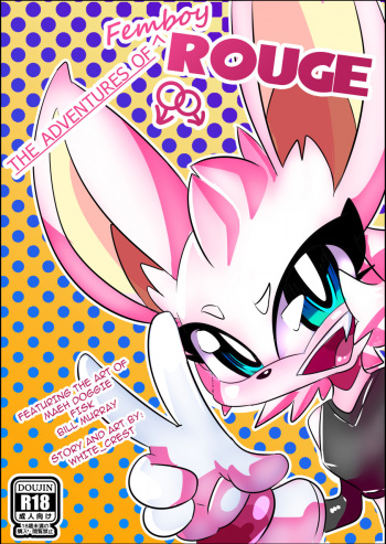 [WhiteCrest] The Adventures of Femboy Rouge (Sonic the Hedgehog) cover