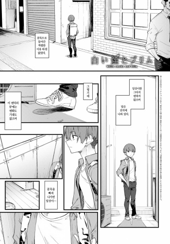 [Spiritus Tarou] Shiroi Kemuri to Burimu | 하얀 연기와 브림 (COMIC Anthurium 2020-11) [Korean] [Digital] cover