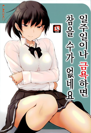 (C89) [UGC (Sasaki Akira)] Isshuukan mo Kinyoku Shitara, Gaman Dekimasen yo ne | 일주일이나 금욕하면 참을 수가 없네요 (Amagami) [Korean] cover