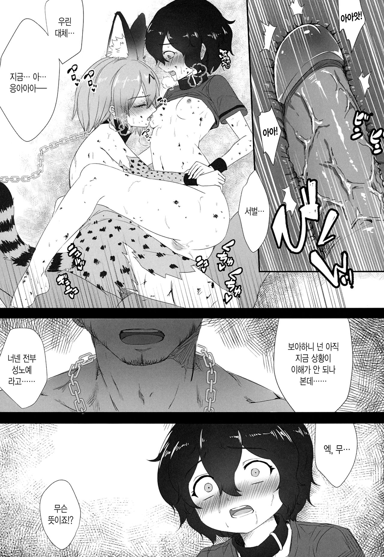 JAPARI AUCTION page 8 full