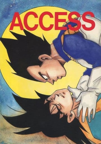 [DRAGON Kyoudai (Ryuu Maanya, Ryuu Minea)] ACCESS (Dragonball) cover