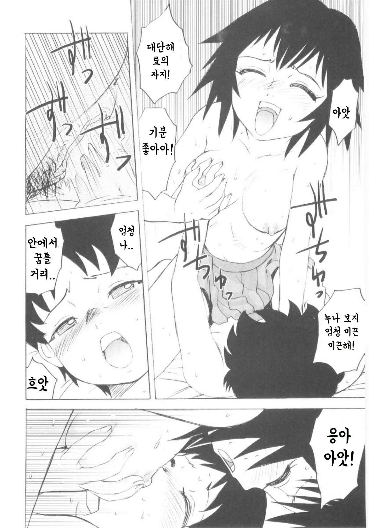 Ototokaizoukekaku|남동생개조계획 page 12 full