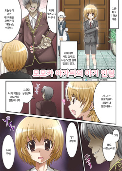 Momoka Ojou-sama no Milk Nomi Ningyou | 모모카 아가씨의 아기 인형