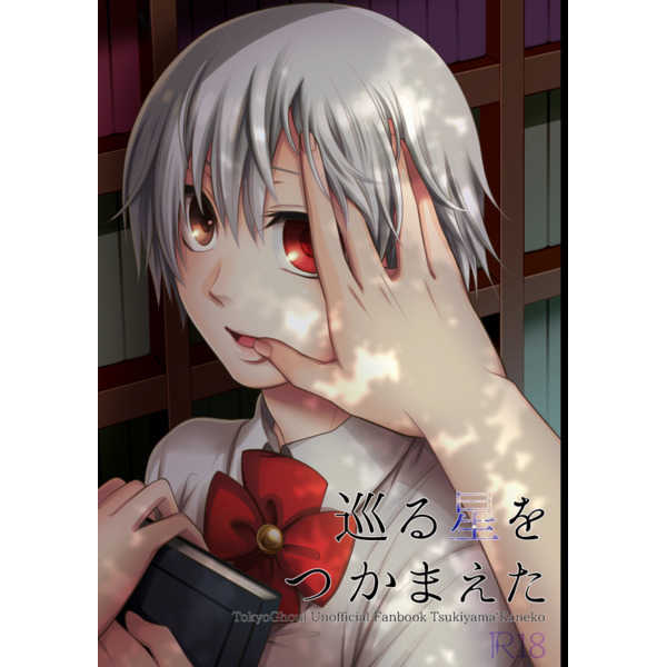 Meguru Hoshi o Tsukamaeta page 1 full