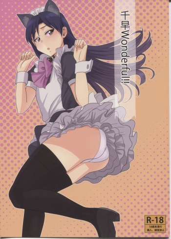 (Aoi Utahime -BLUE DIVA-) [PLANT (Tsurui)] Chihaya Wonderful!! | 치하야 원더풀 !! (THE IDOLM@STER) [Korean] cover