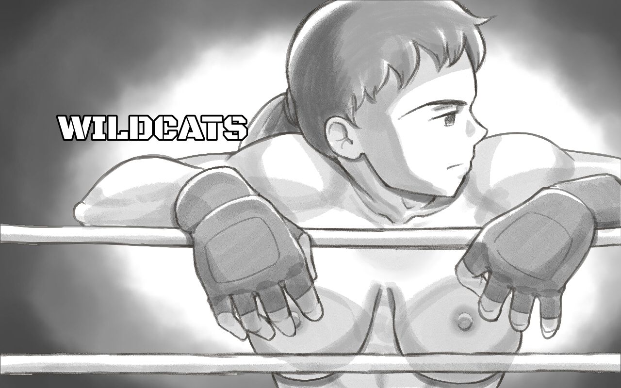 WILDCATS ~ Futanari Chika Battle page 3 full