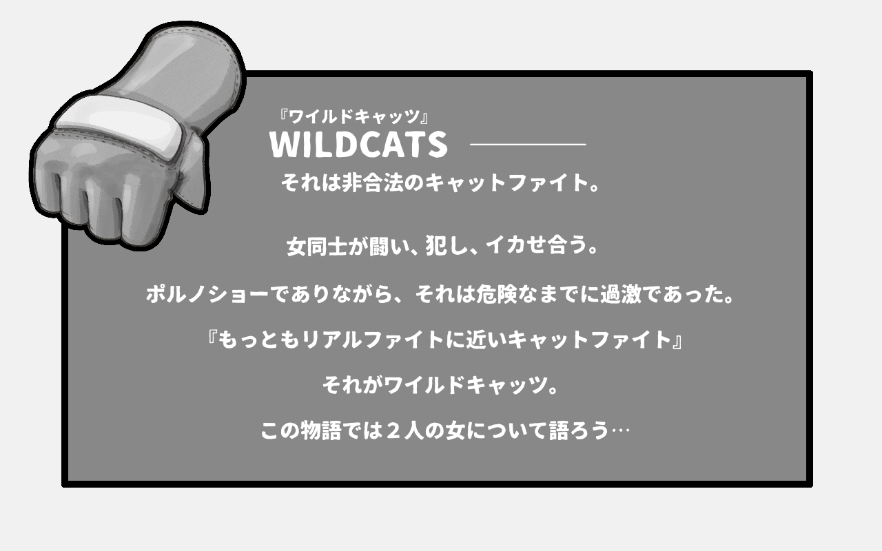 WILDCATS ~ Futanari Chika Battle page 4 full