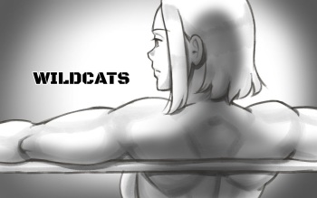 [pink-noise (Mizuiro Megane)] WILDCATS ~ Futanari Chika Battle cover