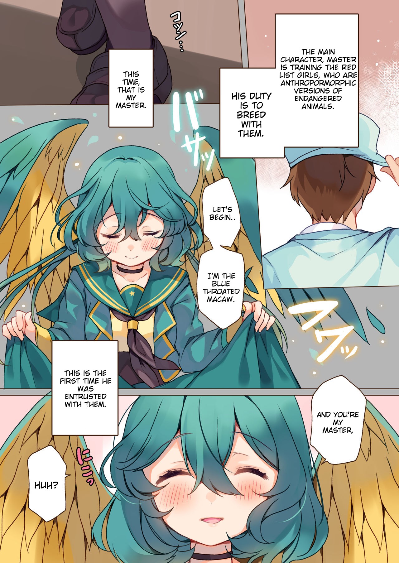 MACAW;EDUCATION page 4 full
