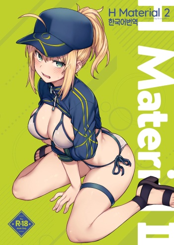 (COMIC1☆17) [OrangeMaru (JP06)] H Material 2 (Fate/Grand Order) [Korean] cover