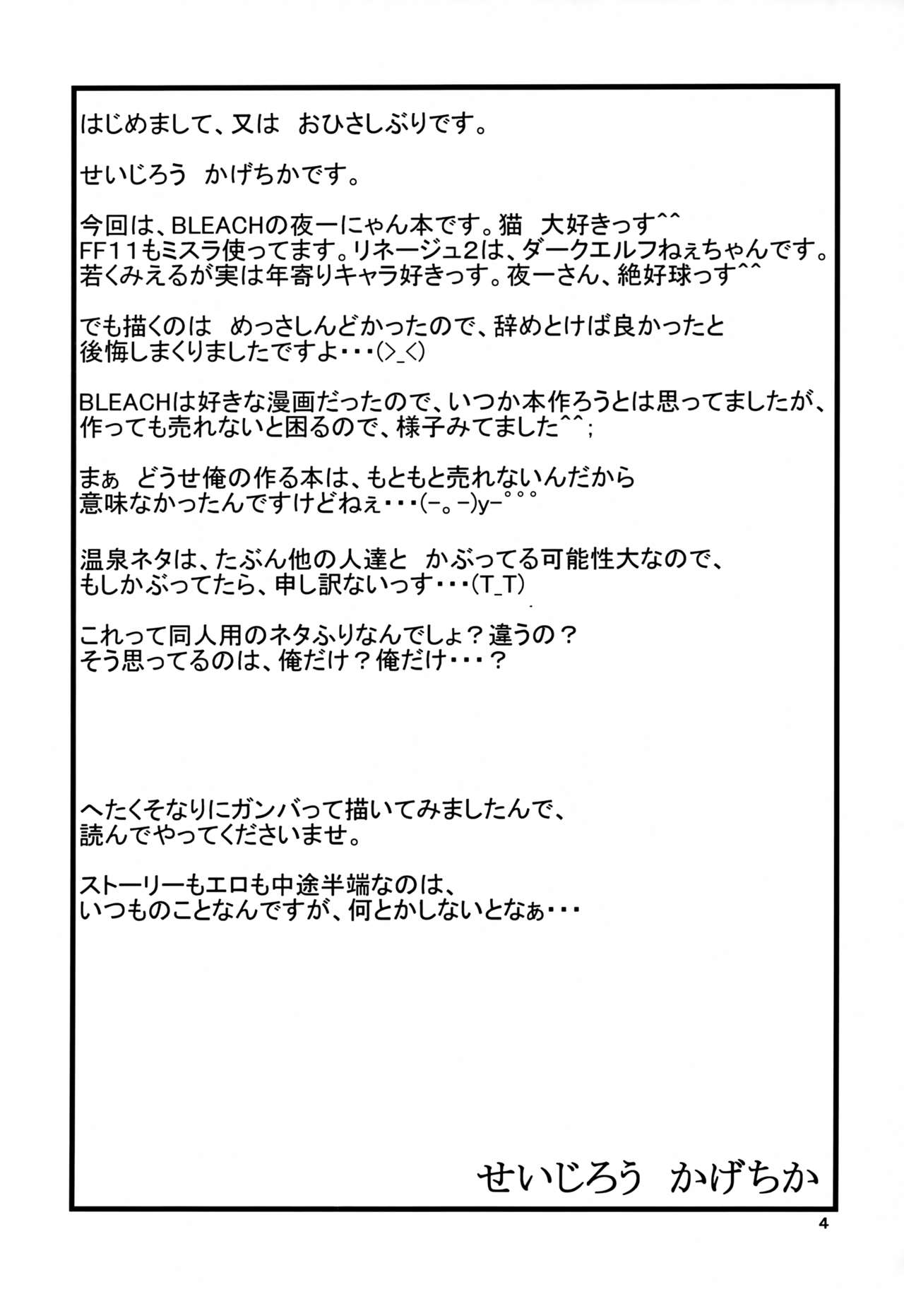 Yoruichi Nyan no Hon page 3 full
