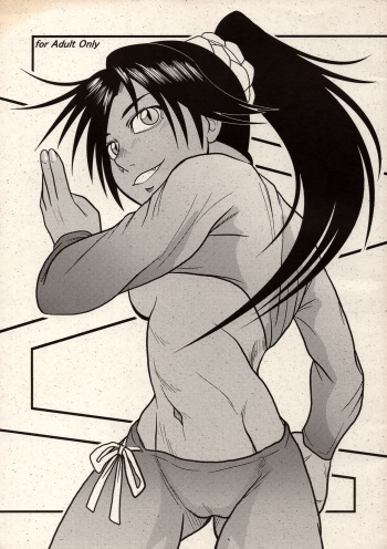 (C66) [Great.Dadan (Seijirou Kagechika)] Yoruichi Nyan no Hon (Bleach) cover
