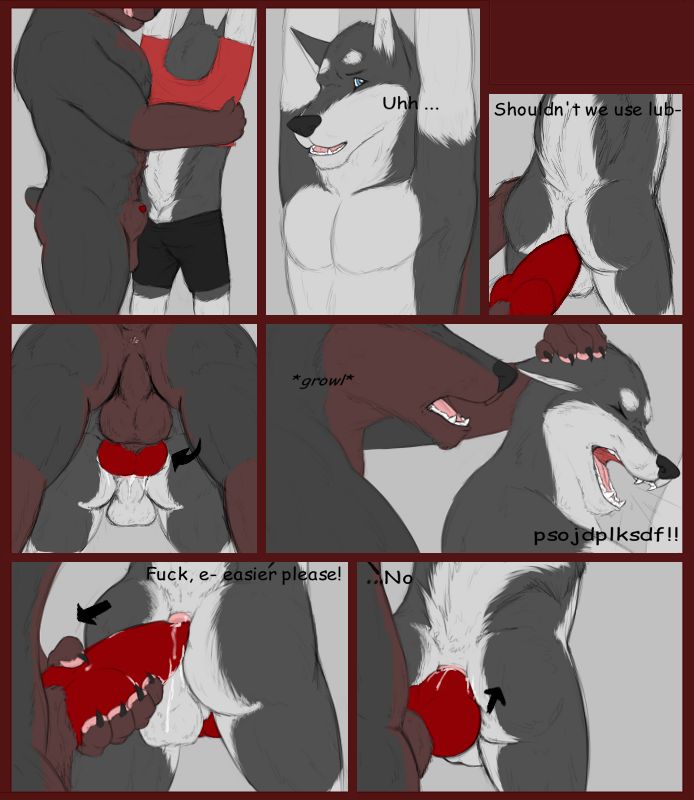 SUBJECT   ruff treat 1,2,3,4 page 1 full