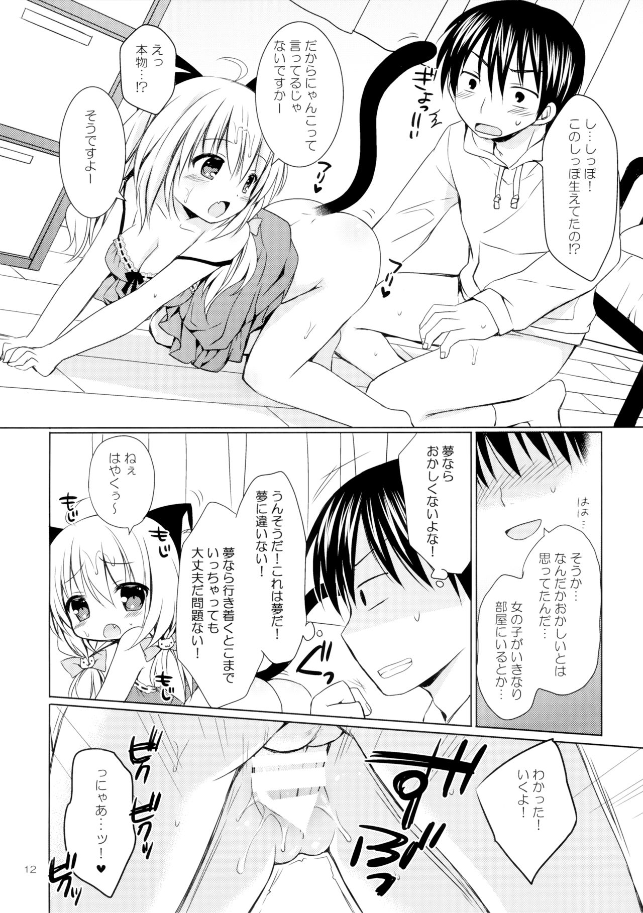 Nyanko o Tasuketara Yome ga Kita Ken ni Tsuite page 11 full