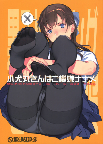 (C90) [LilyLilyRose (Mibu Natsuki)] Koinumaru-san wa Gokigen Naname - Ms.Koinumaru is in a bad mood [Spanish] [Inmoral Fansub] cover