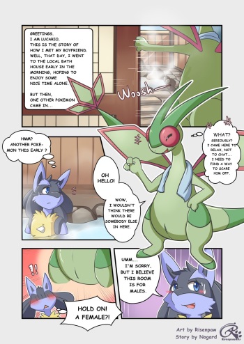 RISENPAW in the bath house cover