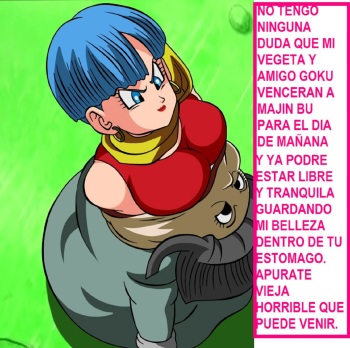 dragon ball z cover