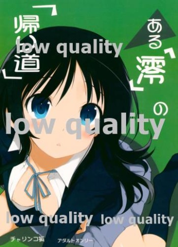(C78) [Charinko Fox (Yaegashi Nan)] Aru "Mio" no "Kaerimichi" (K-ON!) cover