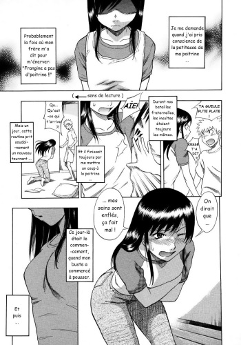 [Shiden Akira] Tiny Boobs, Giant Tits History (French) cover