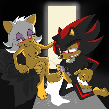 sonicfeet.booru.org siterip 2,000~3,999 cover