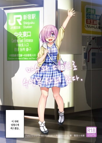 [Shin Hijiridou Honpo (Hijiri Tsukasa)] Mash to Date de Mizugi o Kai ni. (Fate/Grand Order) [Korean] [Digital] cover