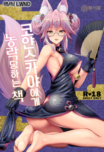 (C95) [Yohsyuan (Son Yohsyu)] Cojanskaya ni Rouraku Sareru Hon | 코얀스카야에게 농락당하는 책 (Fate/Grand Order) [Korean] [LWND] cover