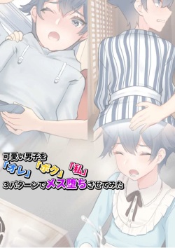 Kawaii Danshi Wo "Ore" "Boku" "Watashi" 3 Pataan De Mesu Ochisasete Mita