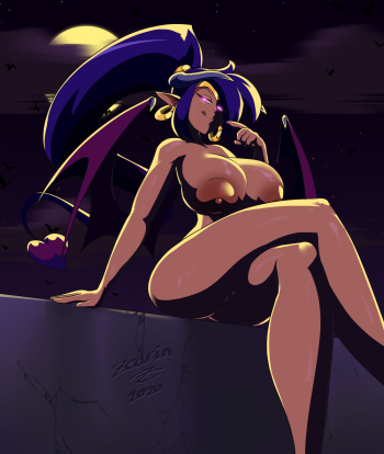 [Zedrin] Shantae cover